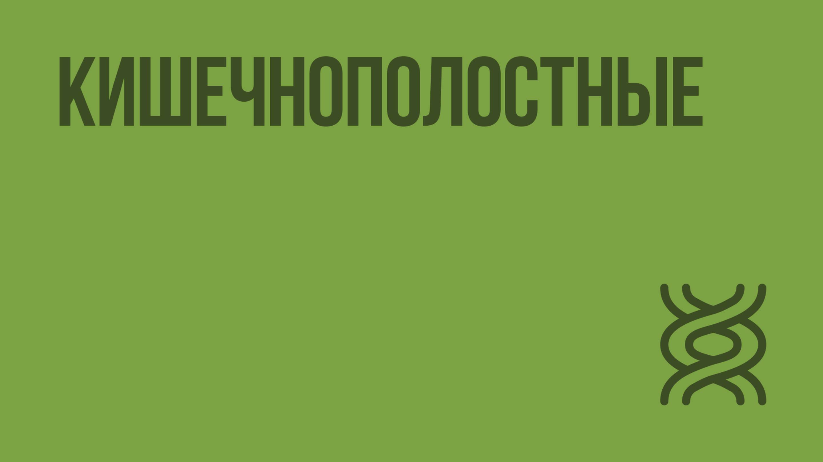 Кишечнополостные. Видеоурок по биологии 7 класс