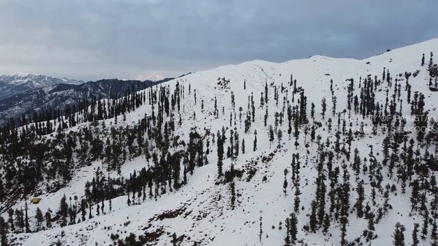 SWAT MALAM JABBA