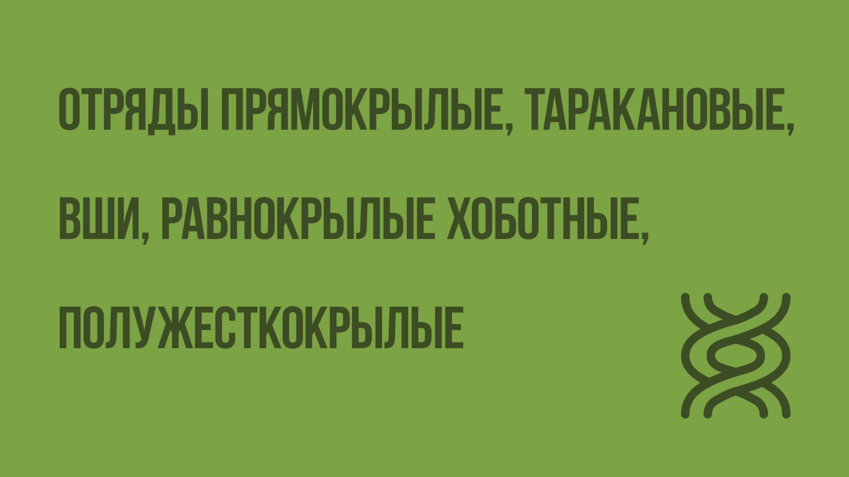 Отряды Прямокрылые, Таракановые, Вши, Равнокрылые хоботные, Полужесткокрылые. Видеоурок по биологии