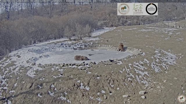 Как не бы л осторожным- все равно провалился в воду