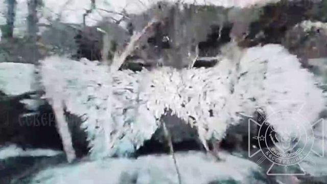 💥Операторы FPV ГВ "Север" уничтожили ещё один американский бронетранспортёр !!!