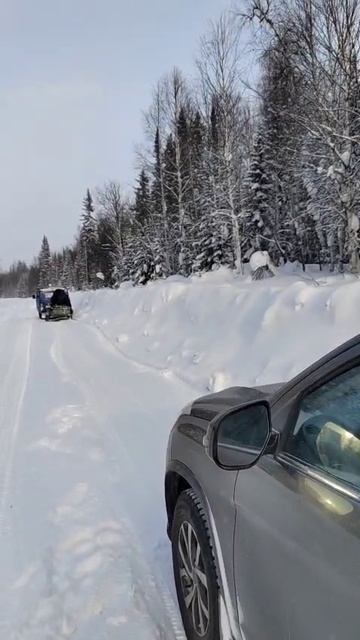 4 Зимняя тайга Прицеп со снегоходом Сердечко