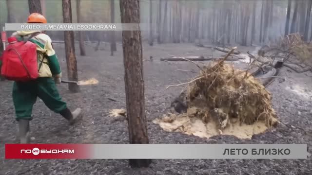 Первые лесные возгорания зафиксированы на юге Иркутской области