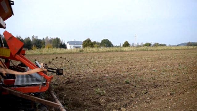 ✸Siewy Pszenicy na Podkarpaciu✸Case Puma 180|Landsberg Aerosem 300|✸