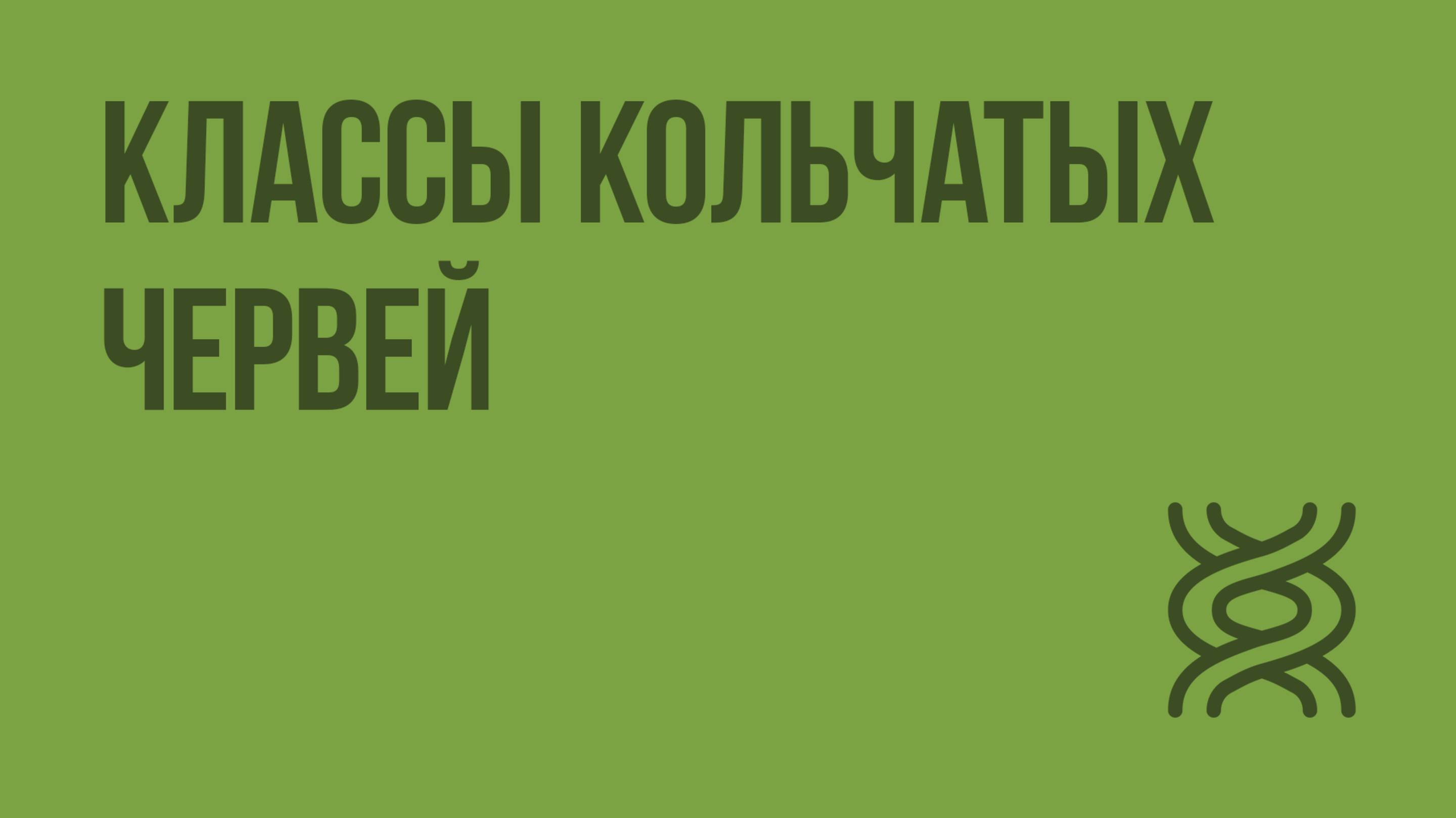 Классы кольчатых червей. Видеоурок по биологии 7 класс