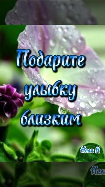 ВидеоОТКРЫТКА с Добрым Утром