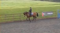 Niamh training Kelsall Hill July 2011