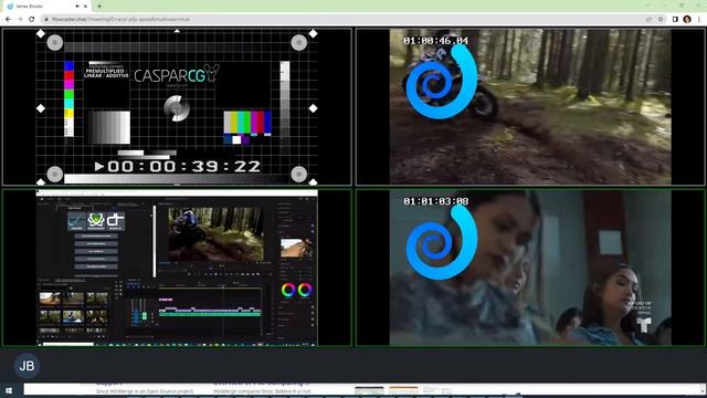 Web based MultiViewer