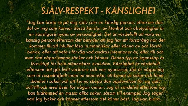 Själv-Respekt (Hur Man Respekterar Sig Själv!)