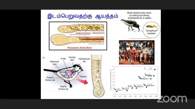 பறவையின் இயக்கமும் வானூர்தி அறிவியலும் ஆய்வுரை - முனைவர்  பெ. சசிக்குமார்