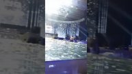 Наша Елена Гайбут Чествование на банкете Директоров Именная звезда на небесах!Минск