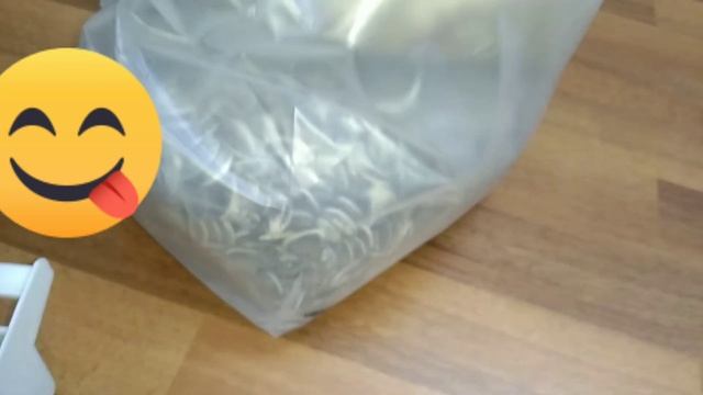 Mini Vlog Of My Grey Parrot (Coco) | Lovely Talking Parrot| Friendly Parrot #fiakhan'shome