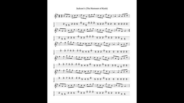 Jackson's REVISITED - a jig in G Major tabbed for mandolin and played by Aidan Crossey