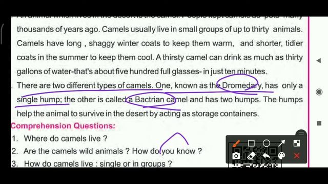 7th Class English Lesson-3 (The Chamel) With Questions Answer// HSE Odisha // THE CAMEL With Answer