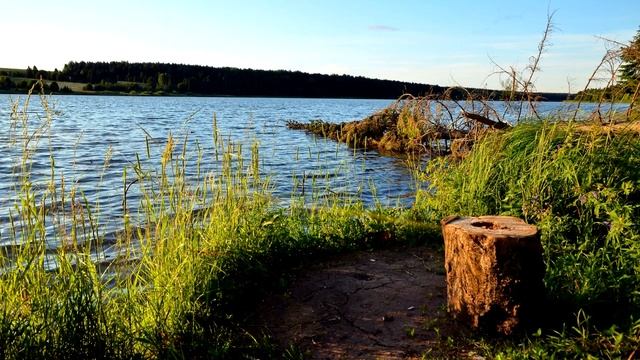 Край мой застенчивый, край негромкий.