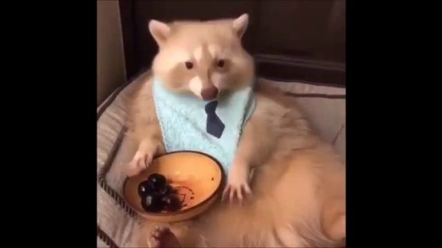 - Ну, что там, в мире, новенького?..