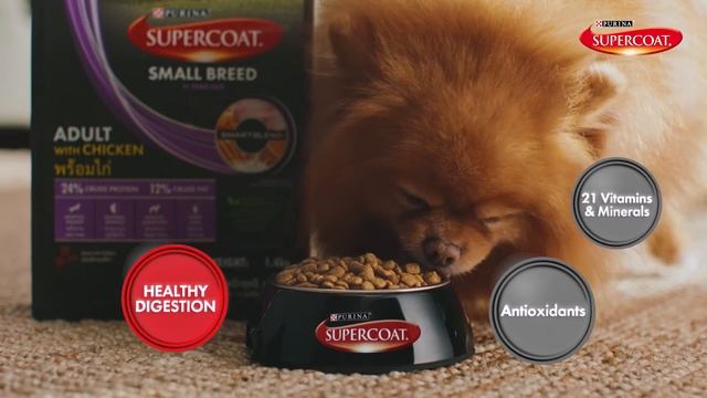 PURINA SUPERCOAT Small Breed Dog – Healthy Digestion