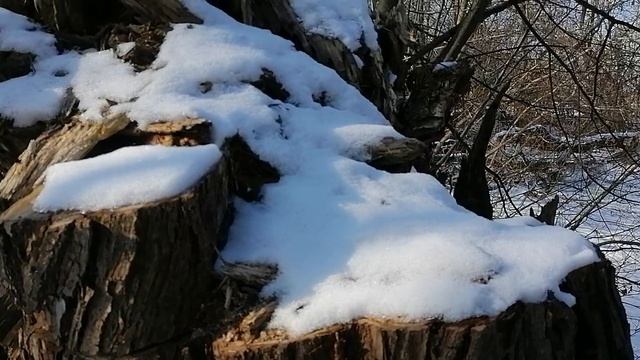 26.02.2025.Усадьба Парк Кино Ляхово. Парк Кошек. Домодедово.Каскады прудов Усадьбы. Центр верхнего