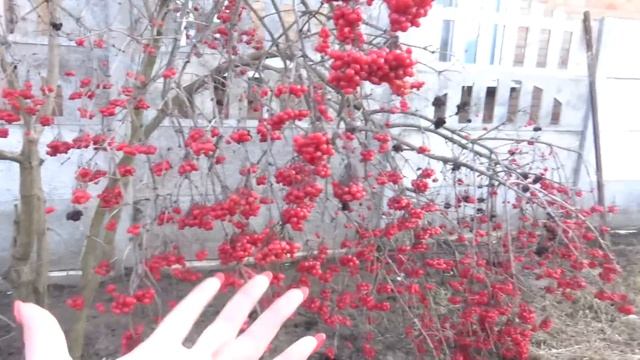 Два дня в одном, Украина Кропивницкий, Все хотят МИРА, занимались своими делами, Готовы ко всему