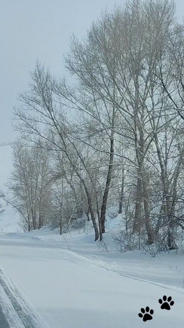 Снежная дорога между гор