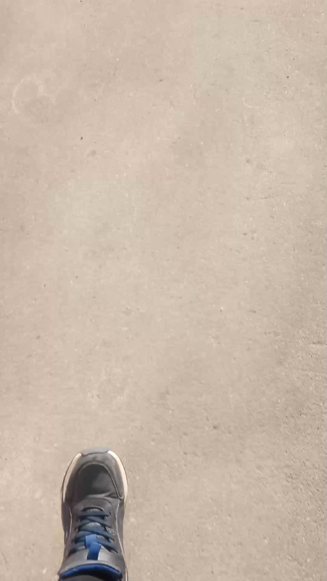 кормить уток