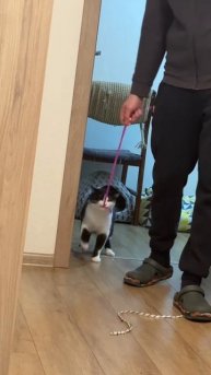 Memes From Internet Part 415