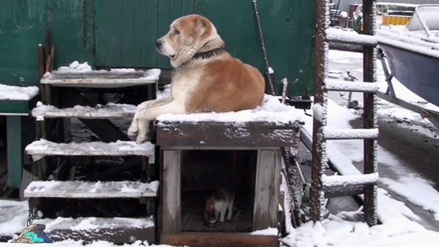 Ну, настоящий полковник