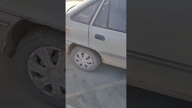 video_2025-02-27_15-52-45