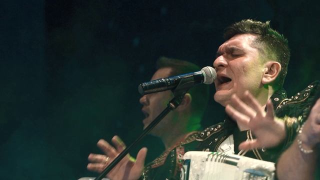 Группа "БАЯН ПОЗИТИВ" - Трава у дома