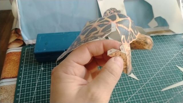 ЧеРеПаХа 🐢 из картона своими руками.