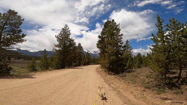 1/7 Dusty 5/28 at Dillon Reservoir (Windy Point access).