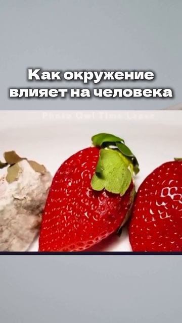 Люди — это энергетические поля, и наше окружение  влияет на наше настроение  #психология   #биленко