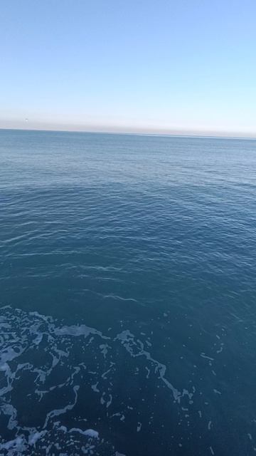 27.02.2025 Лазаревское