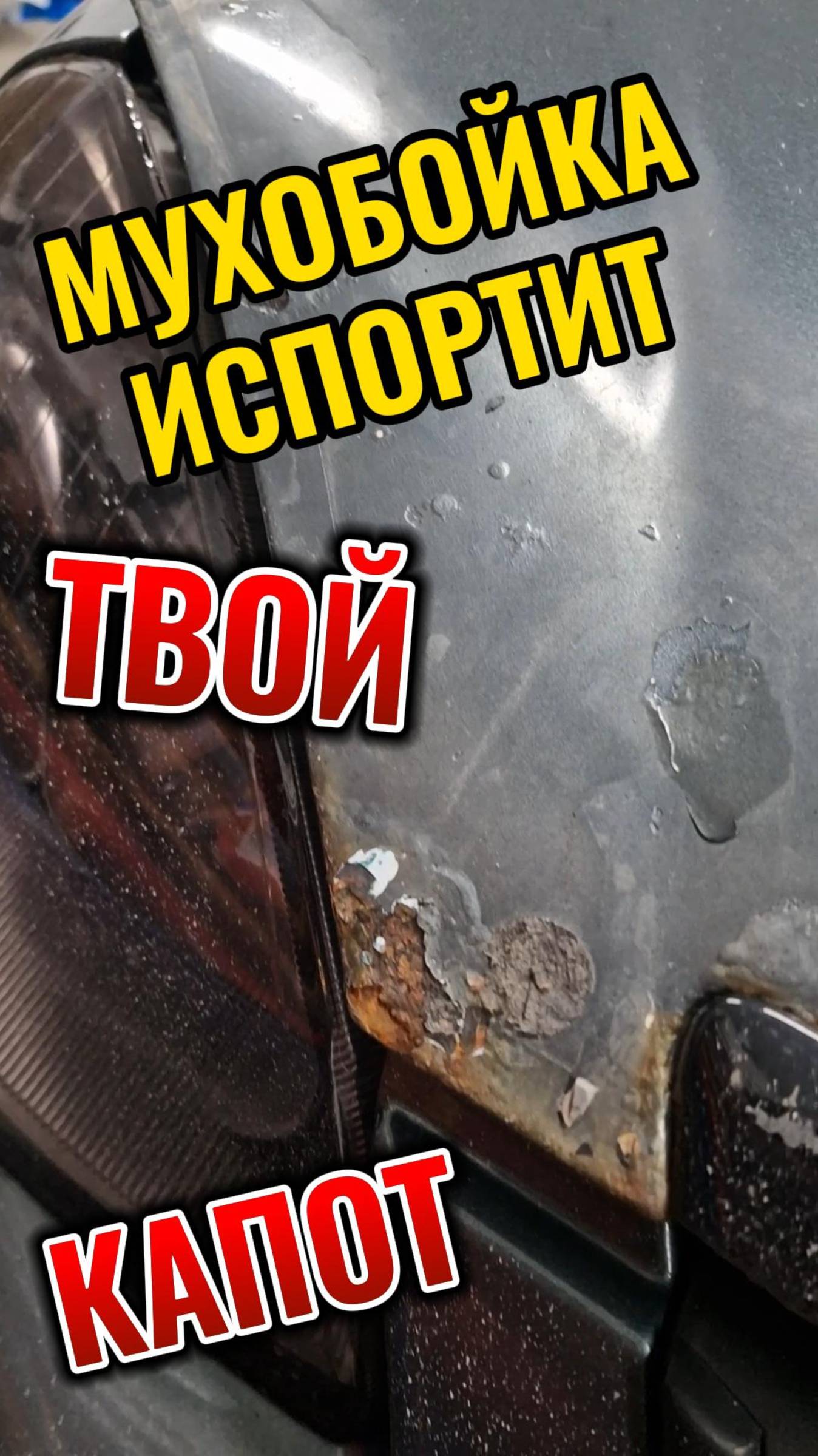 Мухобойка не защитит твой капот. Лучше заклей плёнкой