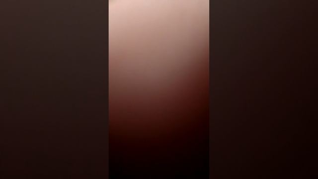 VID_20250227_185044.mp4