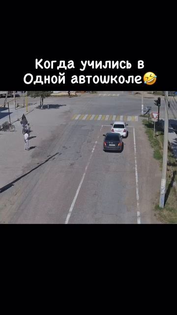 Видимо автошколу прошли заочно 😂