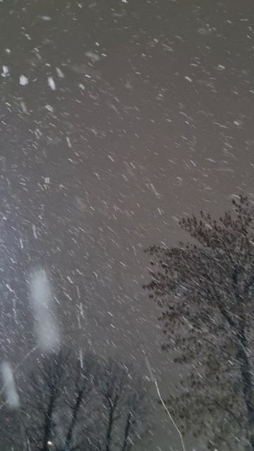 Зима. Мороз. Владикавказ