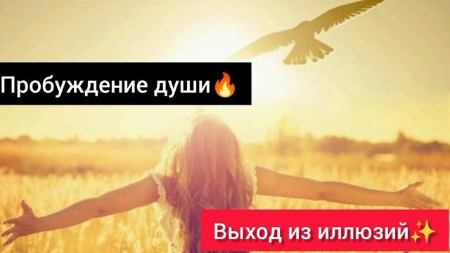 Смерть ума!Выход из иллюзий!Начало.