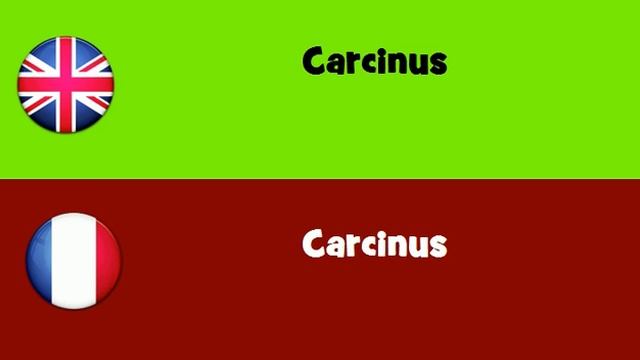 FROM ENGLISH TO FRENCH = Carcinus