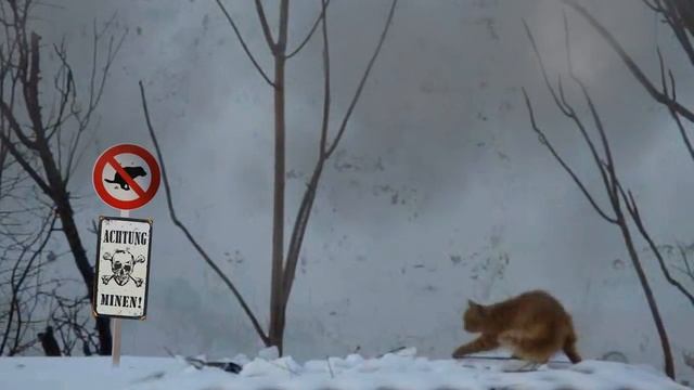 ACHTUNG MINEN или следи за знаками