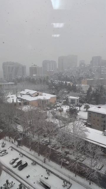Снег в субтропиках! 6 день снегопада в Сочи февраль 2025 #недвижимость #снег #инвестиции