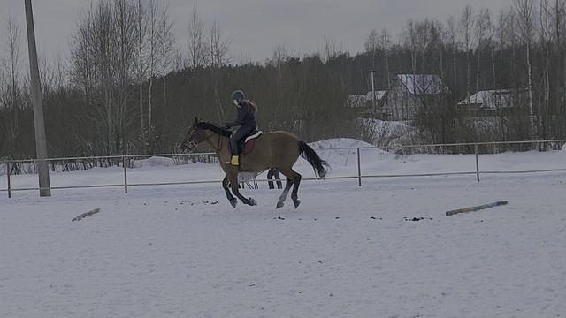 Тренируемся 🐎🐎🐎