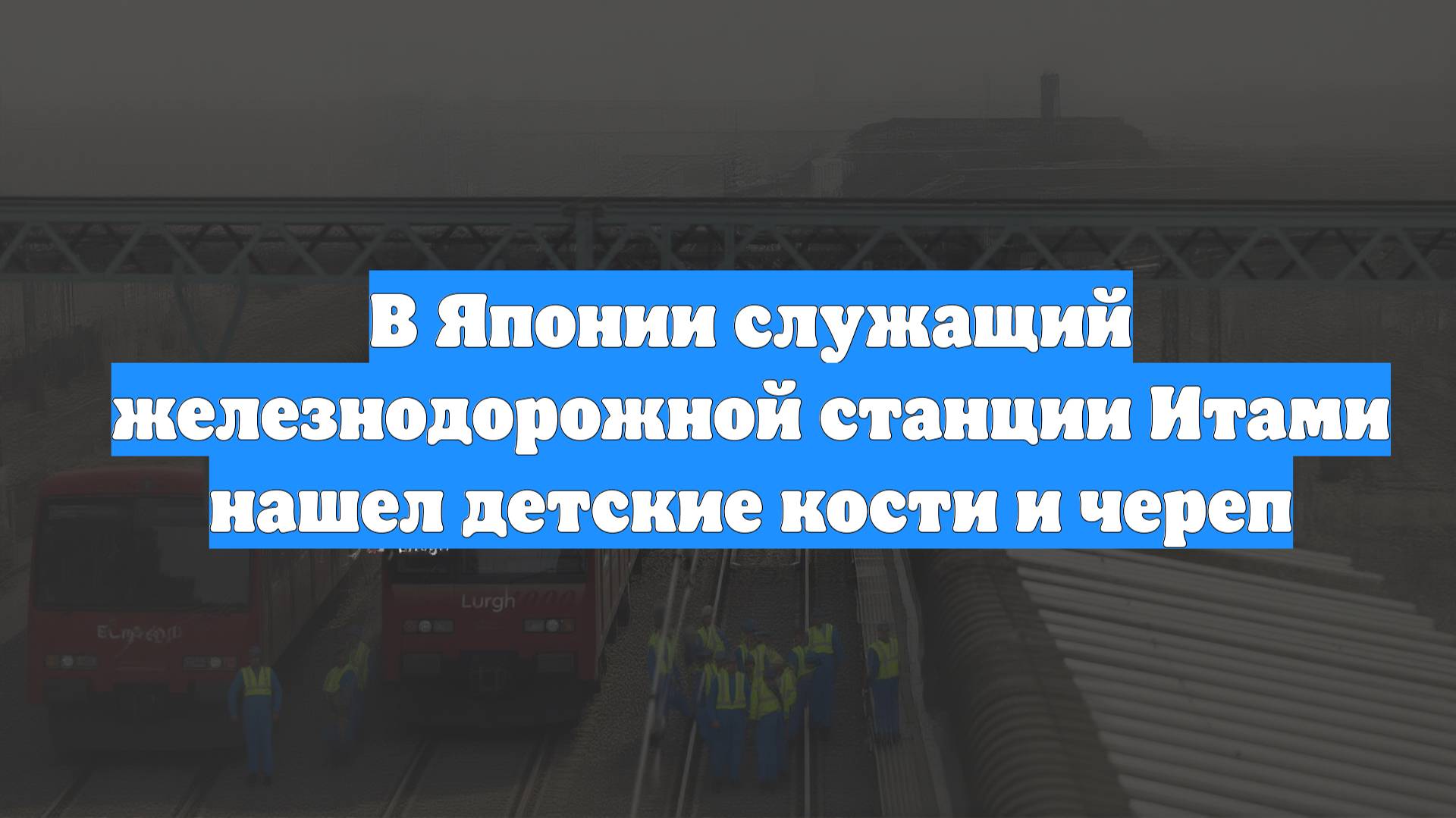 В Японии служащий железнодорожной станции Итами нашел детские кости и череп