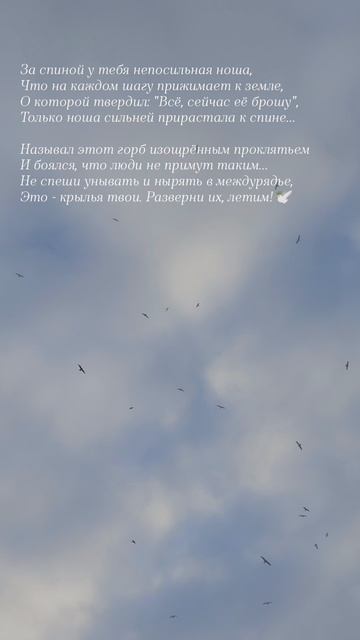27.02.25 АЗ #ниднябезрифмы