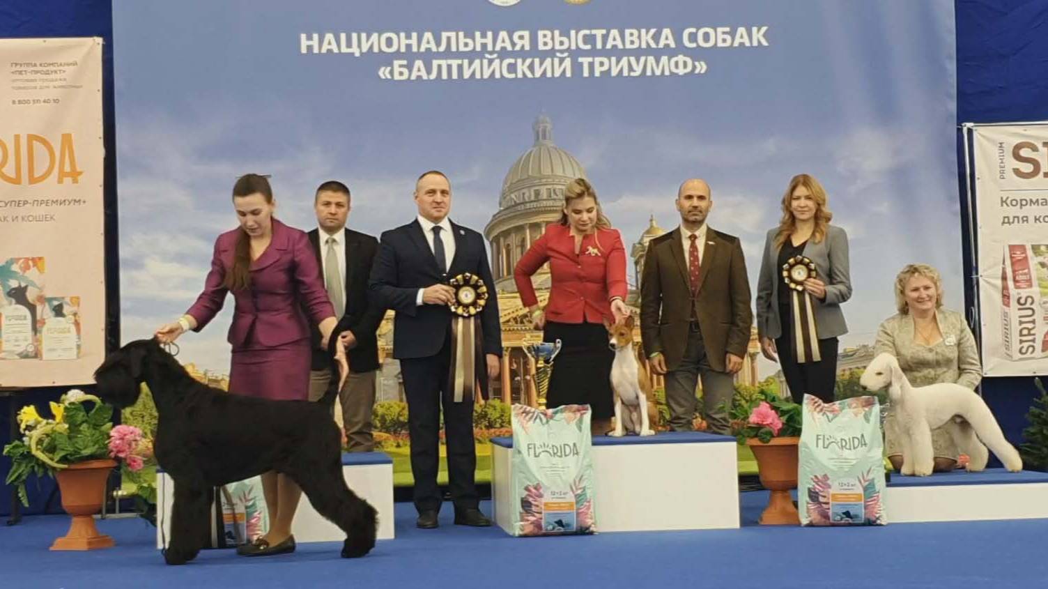22-23.02.2025, СПб. "Невская Застава" (РКФ, РФЛС). Рейтинговая выставка собак "БАЛТИЙСКИЙ ТРИУМФ"