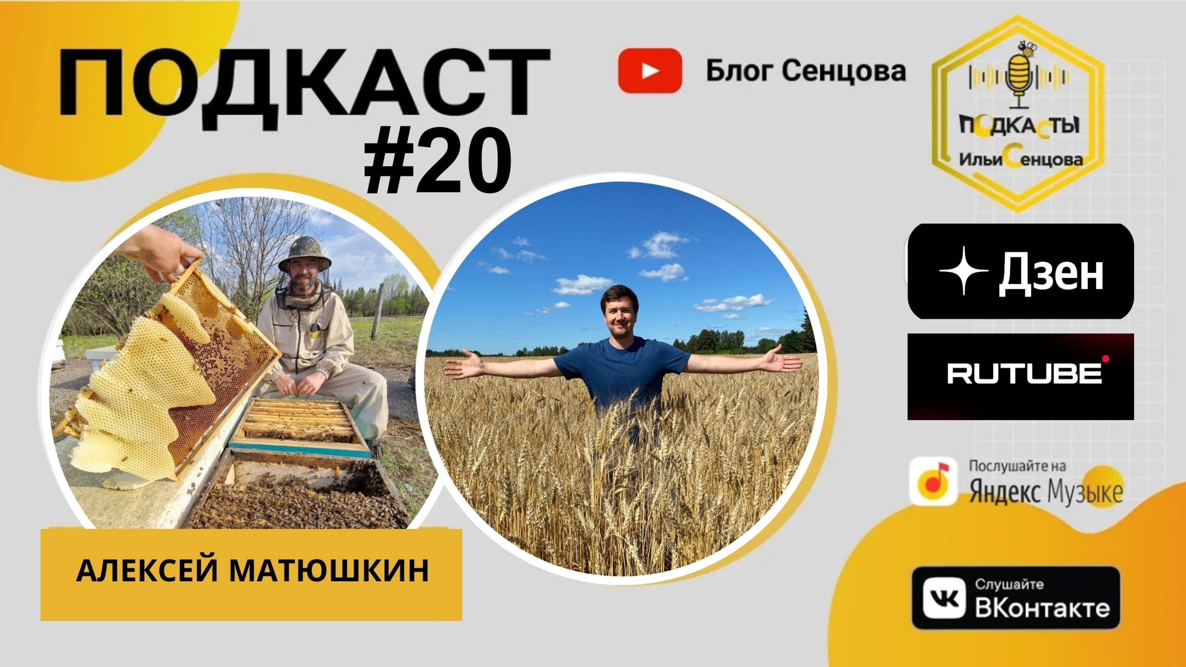 Подкаст #20 Новости и анонсы пчеловодства - Алексей Матюшкин о кооперации и слабом рубле