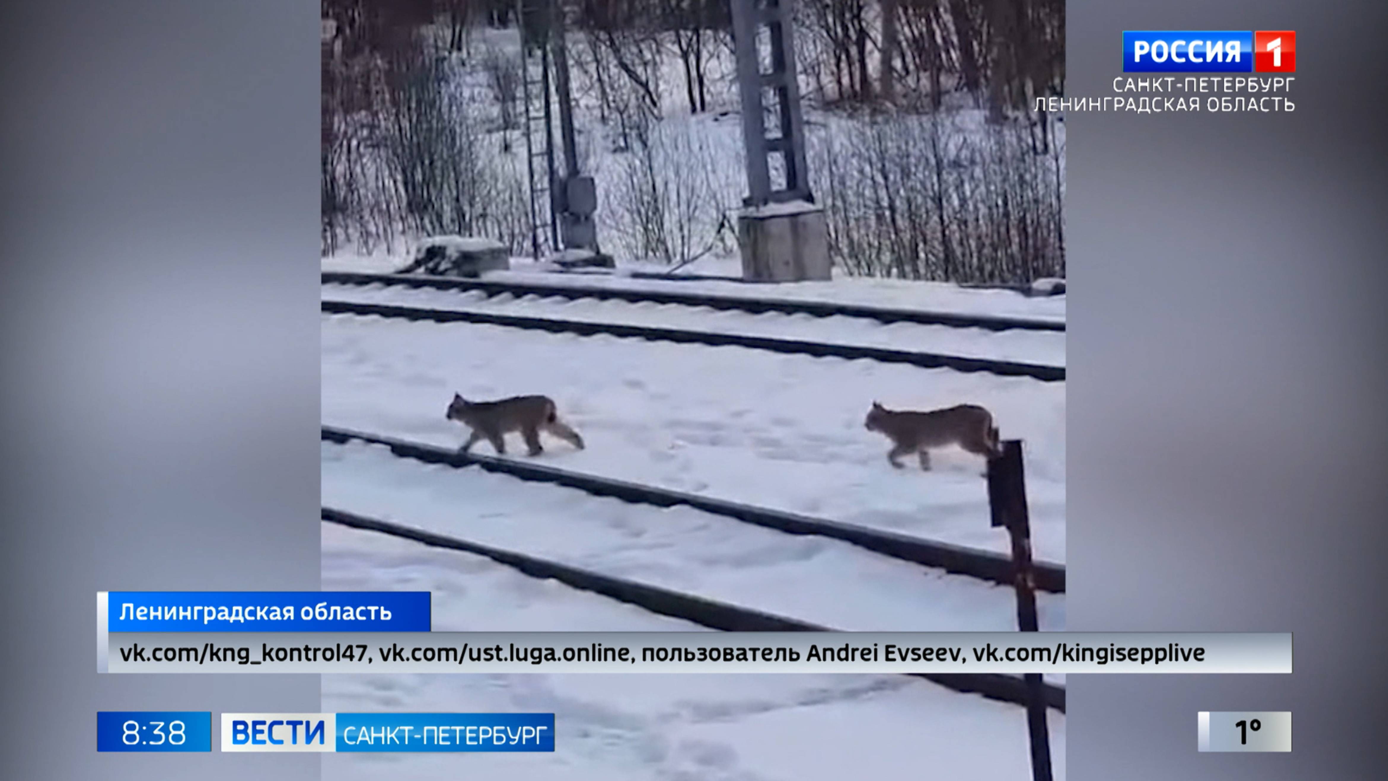 Вести Санкт-Петербург. Выпуск 08.35 от 27.02.2025