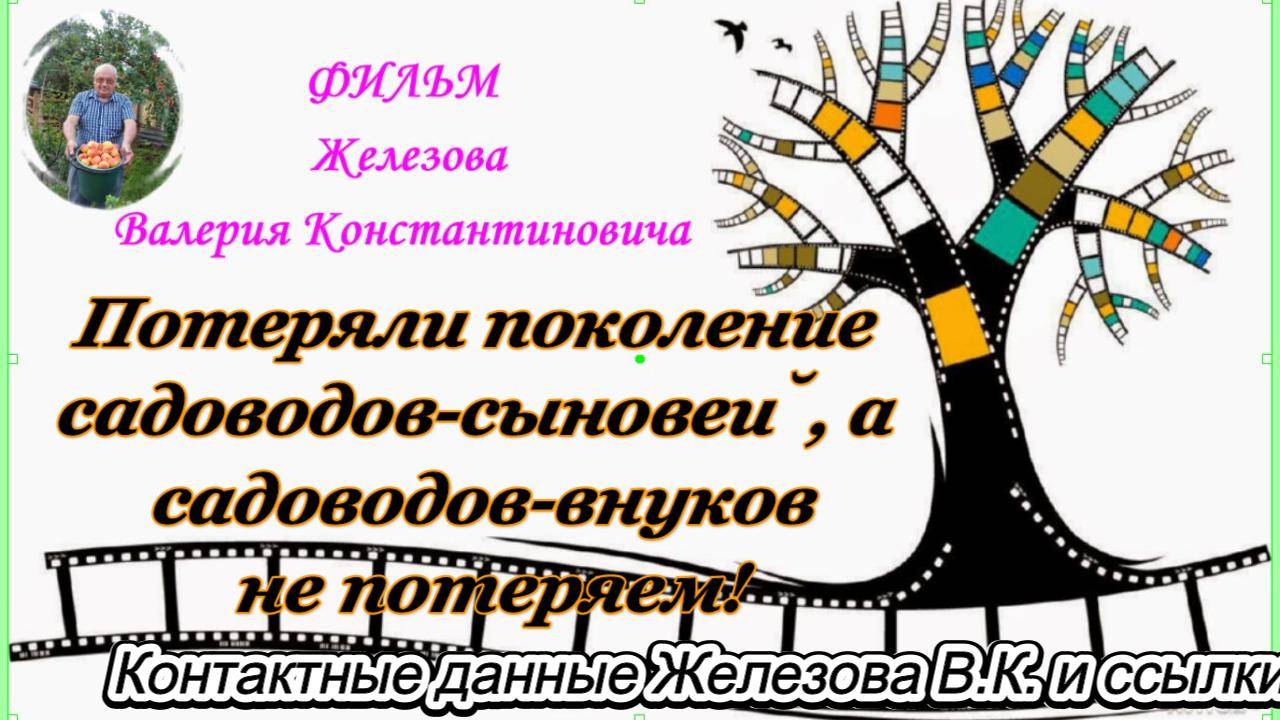 Потеряли поколение садоводов-сыновей, а садоводов-внуков не потеряем!