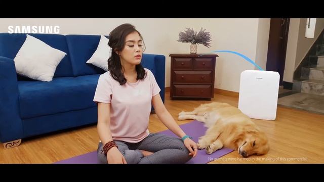 Samsung Air Purifier- Find pure air anywhere