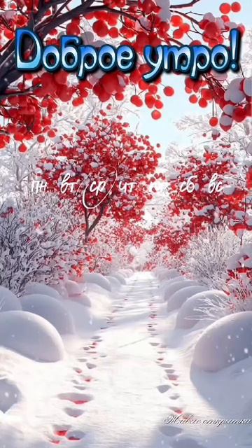 VID-20250226-WA0000.mp4